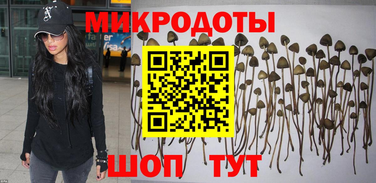 Псилоцибиновые грибы мухоморы Миасс